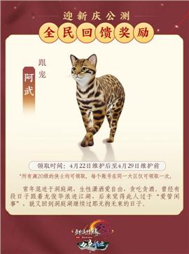 传奇私服迷失龙珠